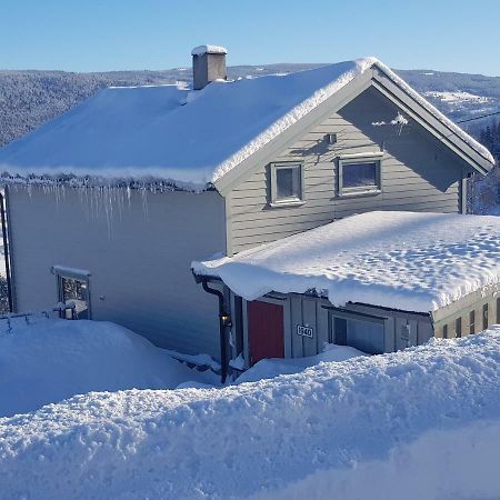 Lille Randklev Gaestehus Ringebu Eksteriør bilde