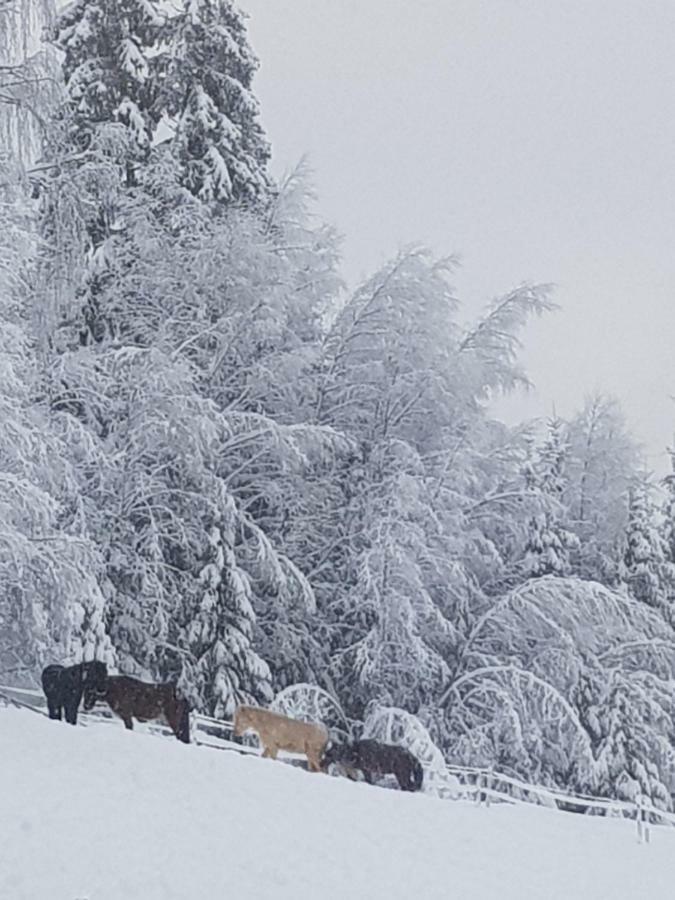 Lille Randklev Gaestehus Ringebu Eksteriør bilde